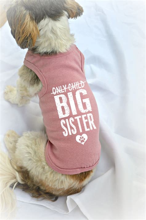 big sister dog t shirt|big sister dog shirt custom.